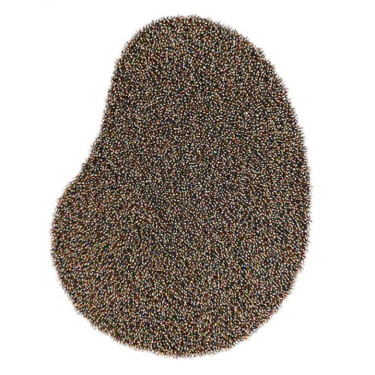 Millenerpoort Piccolo